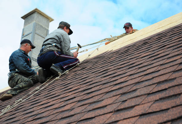 Best Roof Maintenance Services  in Liberty Triangle, FL